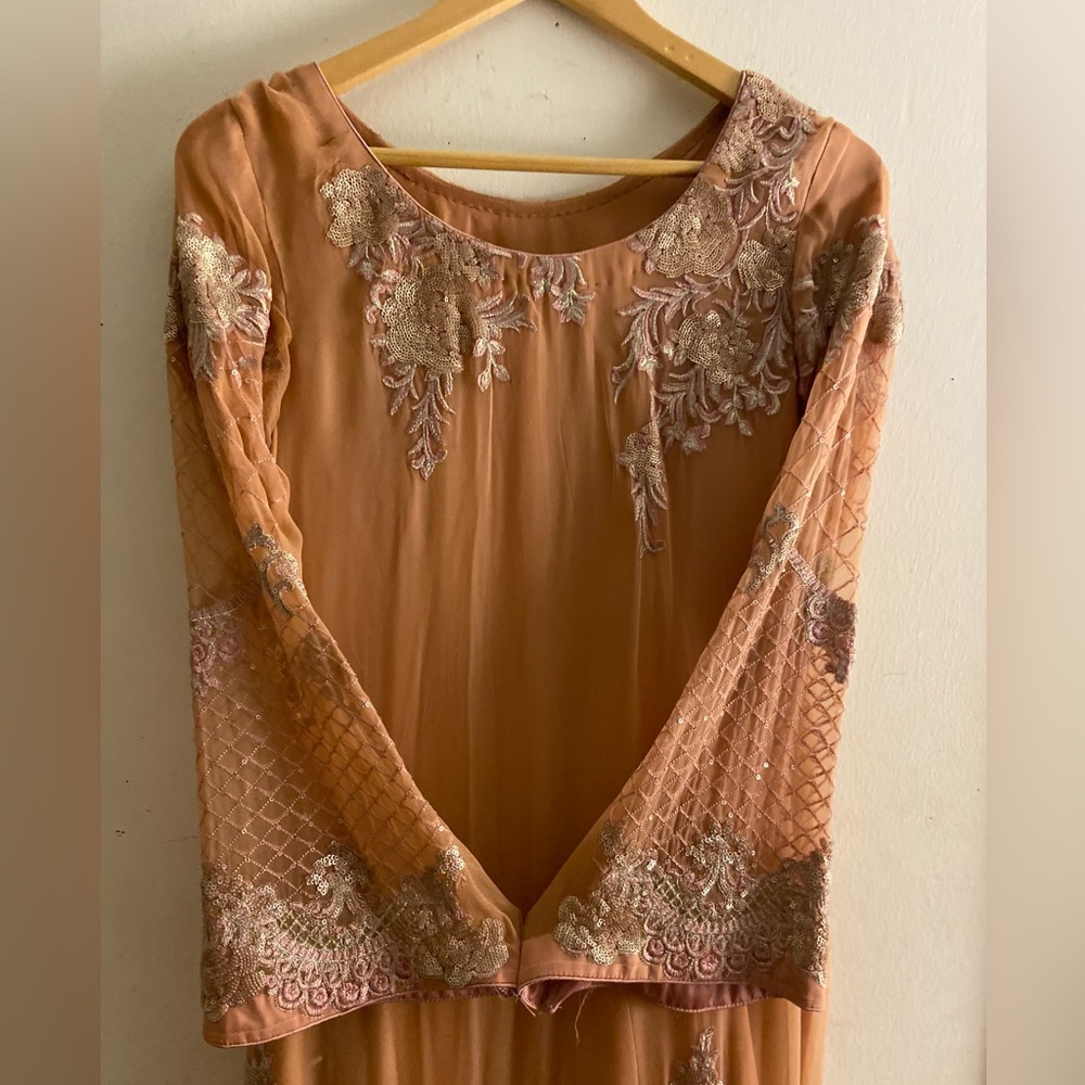 Beautiful Pakistan/Indian party wear dress